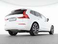 Volvo XC60 T8 Recharge AWD Plus Bright 21"+LUFTFAHRWER Weiß - thumbnail 8