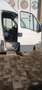 Iveco Daily 21 posti patenD porta/pedana elettrica revisionato Weiß - thumbnail 13