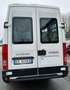 Iveco Daily 21 posti patenD porta/pedana elettrica revisionato Weiß - thumbnail 3