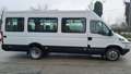 Iveco Daily 21 posti patenD porta/pedana elettrica revisionato Weiß - thumbnail 6
