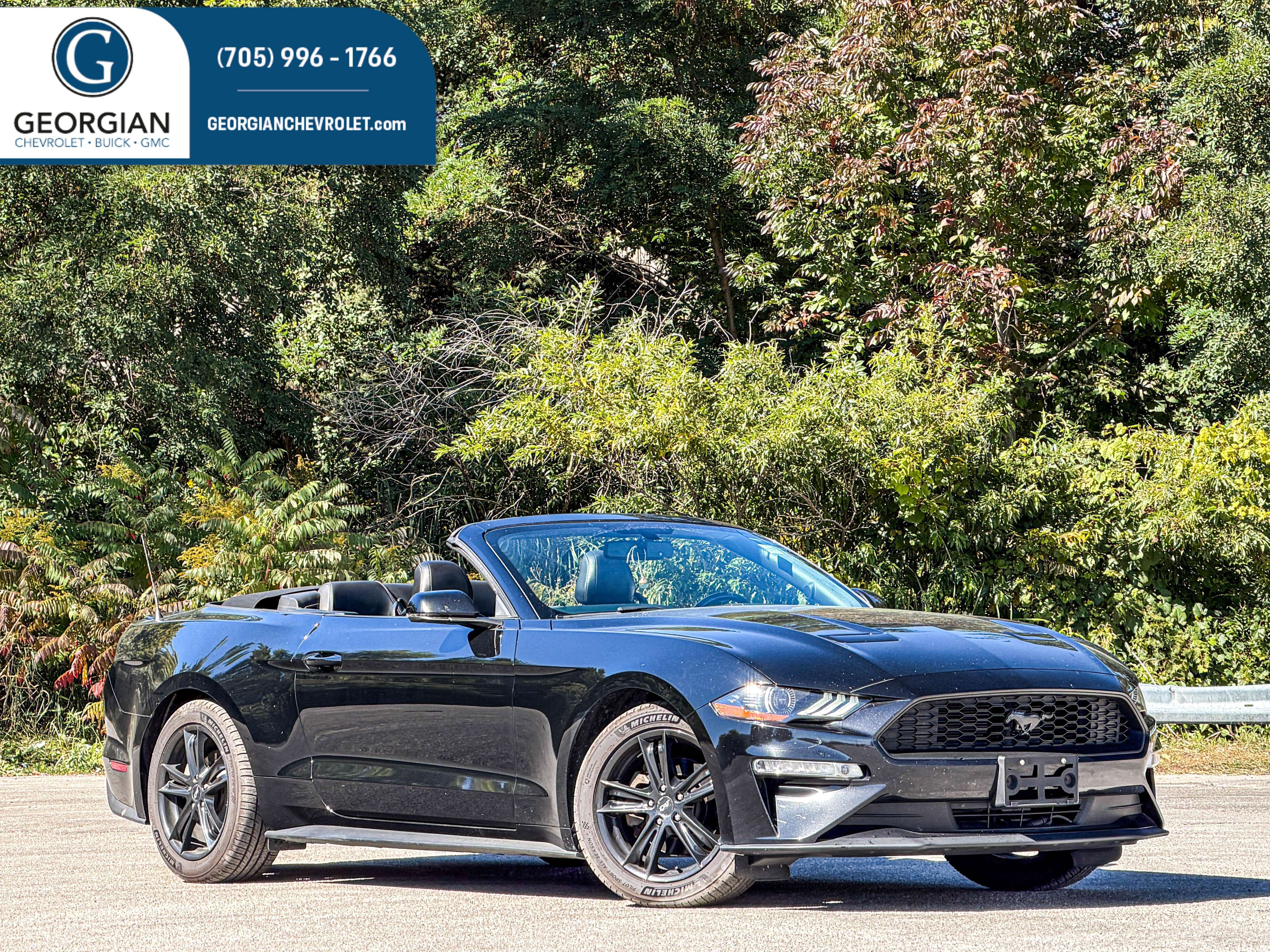 2019 Ford Mustang Convertible