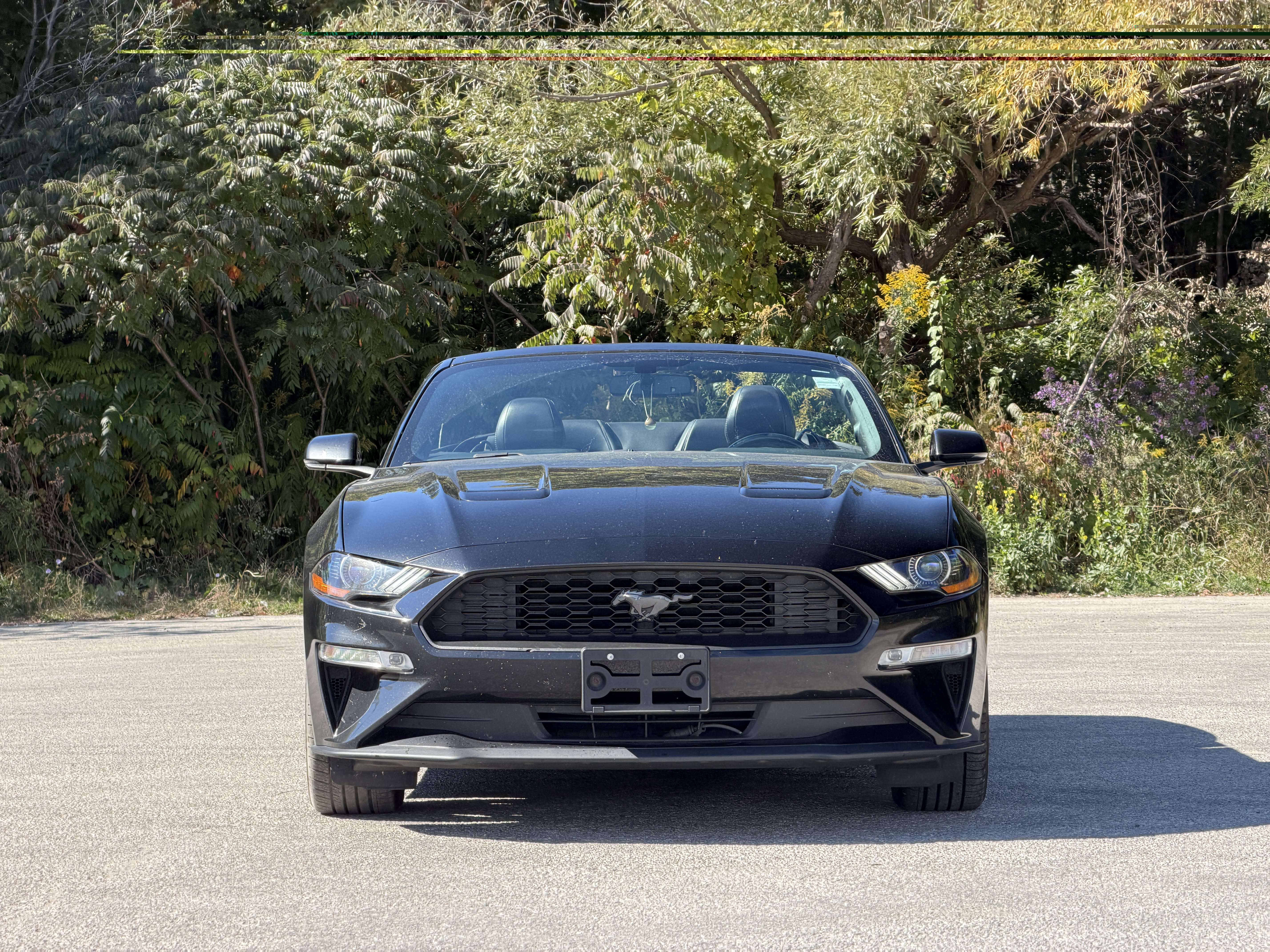 2019 Ford Mustang Convertible
