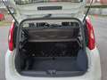 Fiat Panda Panda III 2016 1.2 Easy 69cv Bianco - thumbnail 13