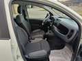 Fiat Panda Panda III 2016 1.2 Easy 69cv Weiß - thumbnail 9