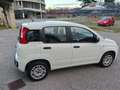 Fiat Panda Panda III 2016 1.2 Easy 69cv Bianco - thumbnail 6