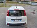 Fiat Panda Panda III 2016 1.2 Easy 69cv Weiß - thumbnail 5