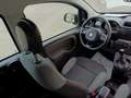 Fiat Panda Panda III 2016 1.2 Easy 69cv Bianco - thumbnail 12