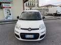 Fiat Panda Panda III 2016 1.2 Easy 69cv Bianco - thumbnail 2
