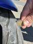 Suzuki Bandit 600 S Bleu - thumbnail 8