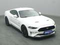Ford Mustang GT Coupé V8 450PS/Premium-P.2/MagneRide Weiß - thumbnail 25