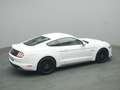 Ford Mustang GT Coupé V8 450PS/Premium-P.2/MagneRide Weiß - thumbnail 34