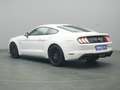 Ford Mustang GT Coupé V8 450PS/Premium-P.2/MagneRide Weiß - thumbnail 18