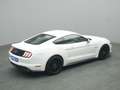 Ford Mustang GT Coupé V8 450PS/Premium-P.2/MagneRide Weiß - thumbnail 22