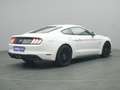 Ford Mustang GT Coupé V8 450PS/Premium-P.2/MagneRide Weiß - thumbnail 4