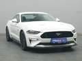 Ford Mustang GT Coupé V8 450PS/Premium-P.2/MagneRide Weiß - thumbnail 36
