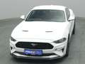 Ford Mustang GT Coupé V8 450PS/Premium-P.2/MagneRide Weiß - thumbnail 49