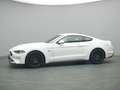 Ford Mustang GT Coupé V8 450PS/Premium-P.2/MagneRide Weiß - thumbnail 39