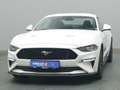 Ford Mustang GT Coupé V8 450PS/Premium-P.2/MagneRide Weiß - thumbnail 48