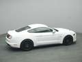Ford Mustang GT Coupé V8 450PS/Premium-P.2/MagneRide Weiß - thumbnail 46