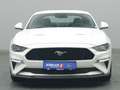 Ford Mustang GT Coupé V8 450PS/Premium-P.2/MagneRide Weiß - thumbnail 6