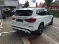 BMW X3 xDrive 30 e Luxury Line HUD Navi Prof. DAB Weiß - thumbnail 4