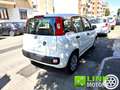 Fiat Panda 1.2 Easy Bianco - thumbnail 8