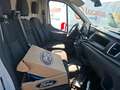 Ford Transit PE 350 L2H2 198 KW BATTERIE 75/68 KWH TREND BUS*27 Blanc - thumbnail 3