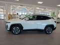 Hyundai TUCSON Tucson 1,6 T-GDI PHEV 2WD GO! Plus *Matrix LED* Weiß - thumbnail 3