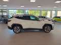 Hyundai TUCSON Tucson 1,6 T-GDI PHEV 2WD GO! Plus *Matrix LED* Weiß - thumbnail 6