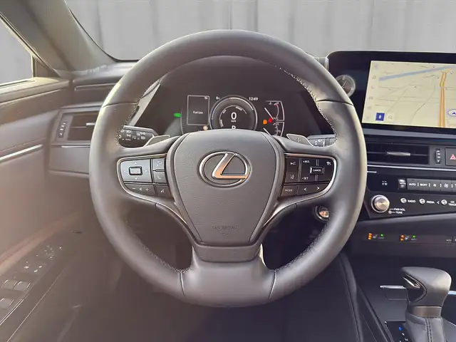 Lexus ES 300 h Business Line 218 PS *Glasschiebedach* Ansicht 9