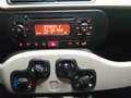 Fiat Panda 1.2  BENZINA  GPL  OK   NEO Beige - thumbnail 12