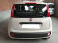 Fiat Panda 1.2  BENZINA  GPL  OK   NEO Beige - thumbnail 6
