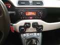 Fiat Panda 1.2  BENZINA  GPL  OK   NEO Beige - thumbnail 11
