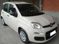 Fiat Panda 1.2  BENZINA  GPL  OK   NEO Beige - thumbnail 3