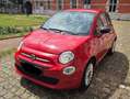 Fiat 500 500 1.2i ECO Pop Star Rood - thumbnail 4