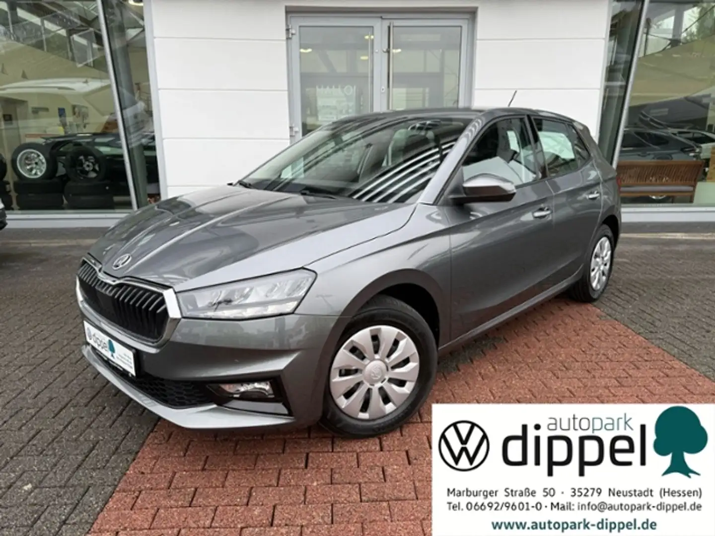 Skoda Fabia 1.0 TSI Selection PDC,Kamera,SmartLink,SHZ Grau - 1