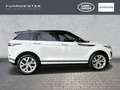 Land Rover Range Rover Evoque D180 SE Park-Assistent Lenkradheizung Blanc - thumbnail 6