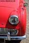 Triumph TR3 A - Overdrive! Rood - thumbnail 28