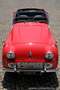 Triumph TR3 A - Overdrive! Rood - thumbnail 19