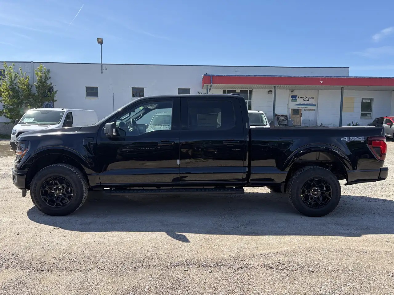 Ford F 150 снимка Ford F 150