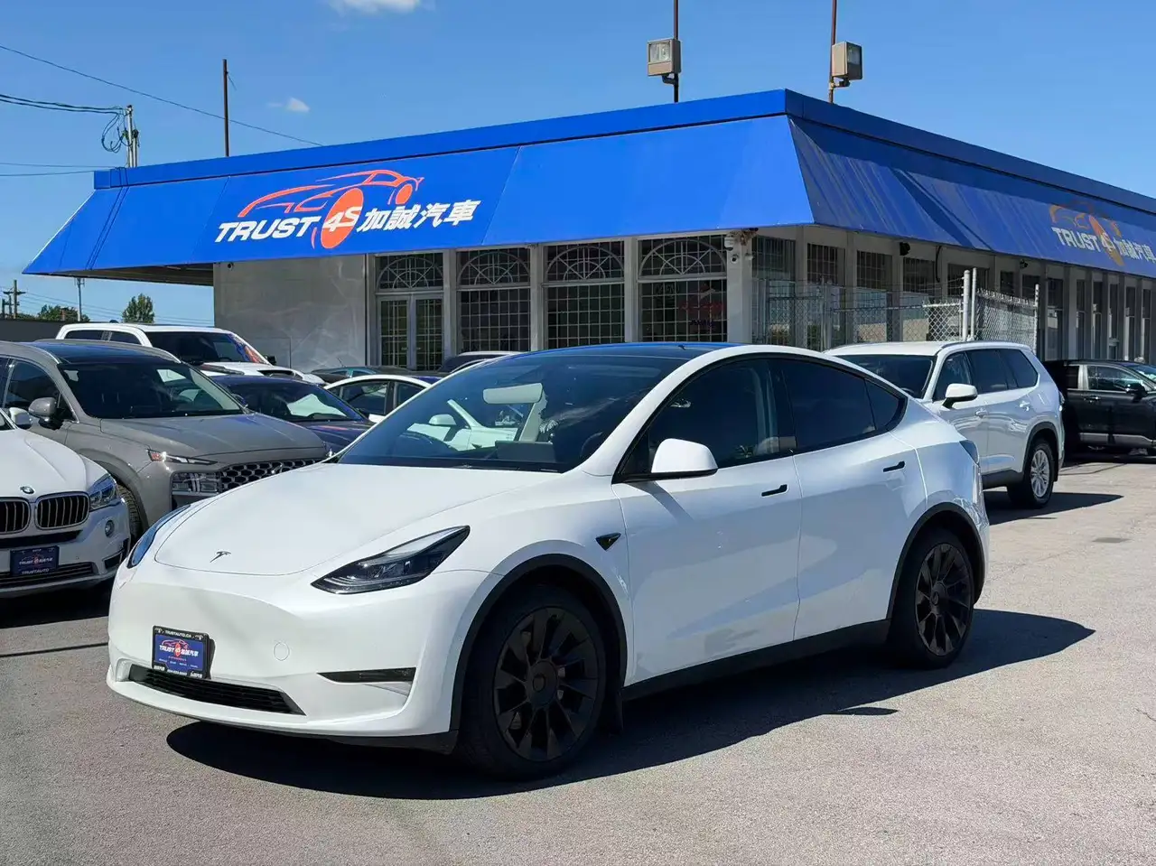 Tesla Model Y снимка Tesla Model Y