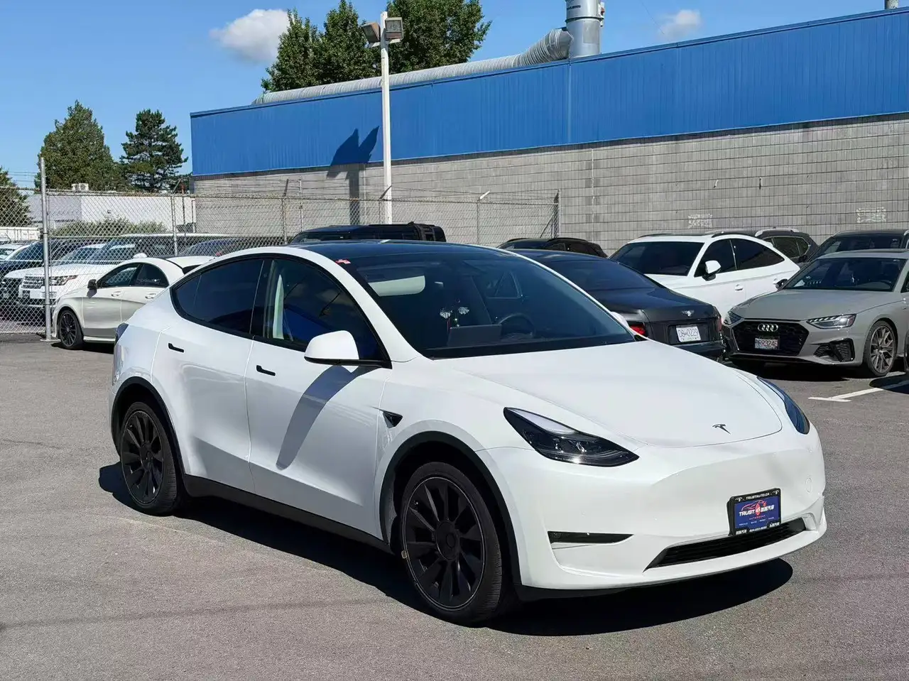 Tesla Model Y снимка Tesla Model Y