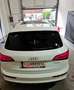 Audi Q5 Q5 2,0 TDI quattro DPF S-tronic Weiß - thumbnail 16