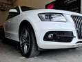 Audi Q5 Q5 2,0 TDI quattro DPF S-tronic Weiß - thumbnail 22