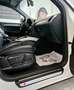 Audi Q5 Q5 2,0 TDI quattro DPF S-tronic Weiß - thumbnail 29