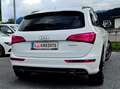 Audi Q5 Q5 2,0 TDI quattro DPF S-tronic Weiß - thumbnail 3