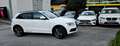 Audi Q5 Q5 2,0 TDI quattro DPF S-tronic Weiß - thumbnail 5