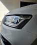 Audi Q5 Q5 2,0 TDI quattro DPF S-tronic Weiß - thumbnail 36