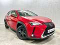 Lexus UX 250h Business 2WD Rojo - thumbnail 2