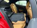 Lexus UX 250h Business 2WD Rojo - thumbnail 15